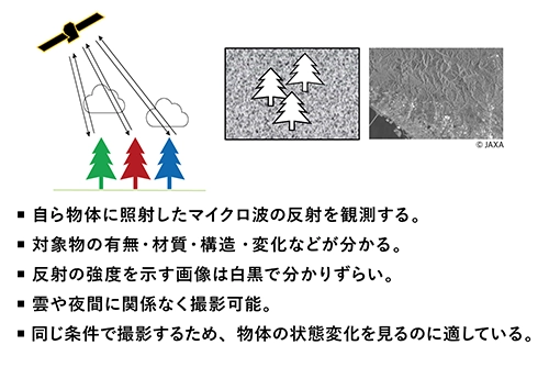 ・自ら物体に照射したマイクロ波の反射を観測する。 ・対象物の有無・材質・構造・変化などが分かる。 ・反射の強度を示す画像は白黒で分かりずらい。 ・雲や夜間に関係なく撮影可能。 ・同じ条件で撮影するため、物体の状態変化を見るのに適している。